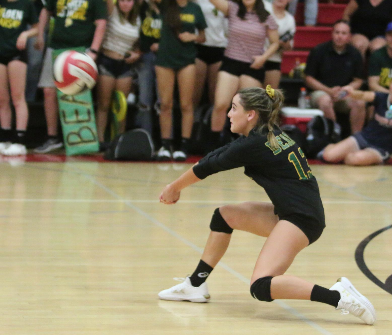 Golden Bears open season with victory over Bullpups